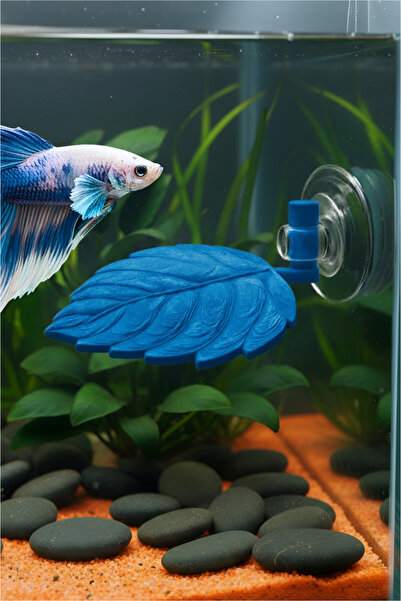 MD×DEKO Beta Dinlenme Alanı ⟢ Mavi ve Tonları ⟢ Betta Balığı Dinlenme Yapragı...