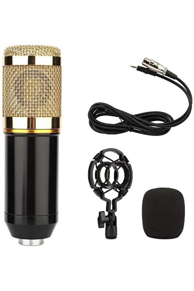 EasyLife Condenser Professional Recording Microphone Mic Kit