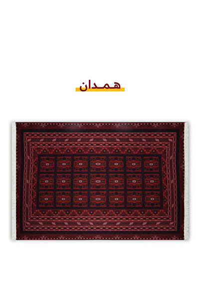 Segadty Carpet, Hamadan Printed Pattern, Soft, Heritage Rug for All Spaces, H...