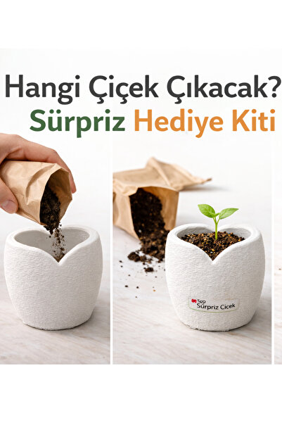 FourClovers Sürpriz Çiçek Hediye Kiti 6 cm Kalp Saksı + Toprak + Sürpriz Tohum