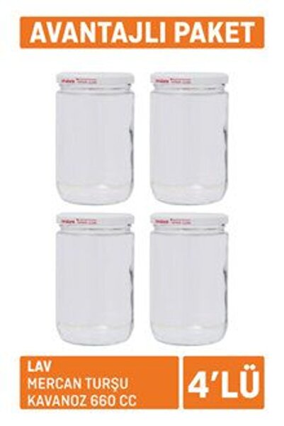 MATMEL 3 Pieces of Lava Coral Pickle Jars, 4-Piece Set, 660 Cc