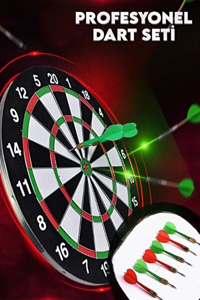 çınaroğlu avm Profesyonel Dart Seti 6 Oklu Ahşap Çelik Taşıma Çantalı Asılabilir