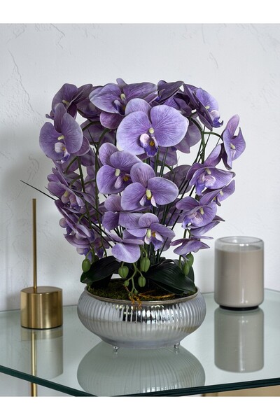 Lavivaplants Yapay Orkide Lila 5 Dallı Ufo Gümüş Saksıda