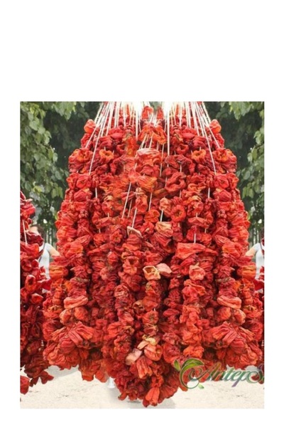 GenelTedarik KURU DOLMA BİBER ANTEP 50 ADET YENİ MAHSÜL