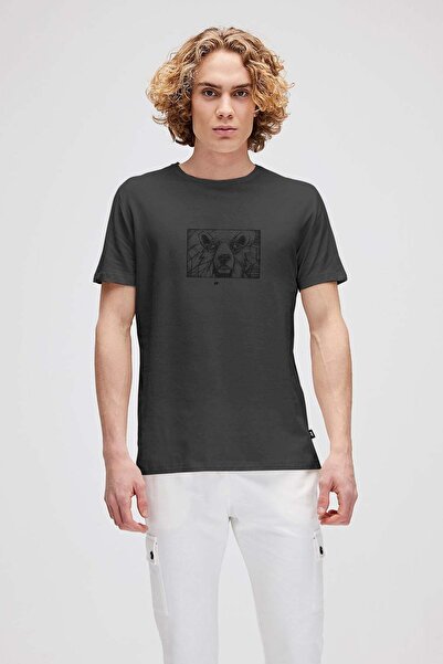 Bad Bear دب الجدار أنثراسايت تي شيرت رجالي مطبوع