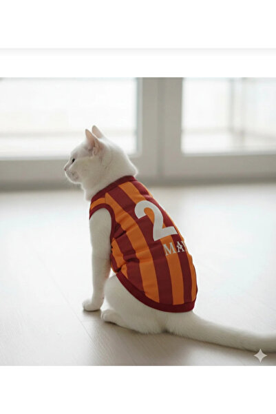 Saule İsim yazılabilen kedi ve köpek forması