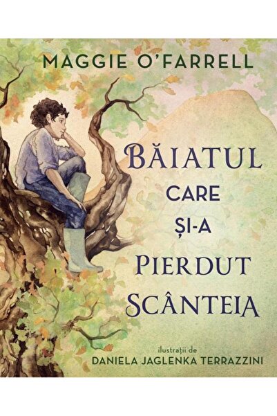 Editura Didactica Publishing House Baiatul care si-a pierdut scanteia, Maggie...