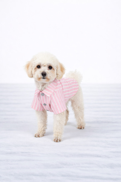 PATİLİNKA Cat - Dog Summer Cotton Piece Lumberjack Shirt - T-Shirt - Outfit -...