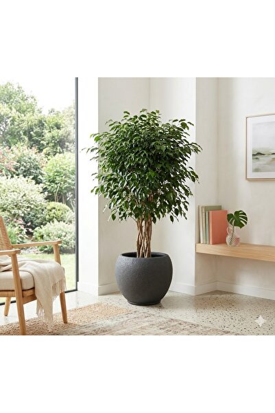 EFFE POT & DECORATİON Bella Model Poliüretan Kompozit Dekoratif Saksı 29X28cm