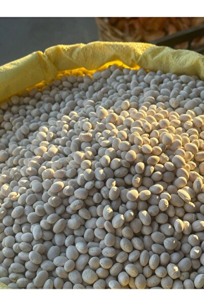 erzincandan organik ispir fasulyesi 1kg