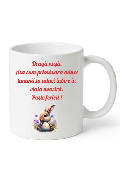 IAMIRA Cana cadou pentru Nasa