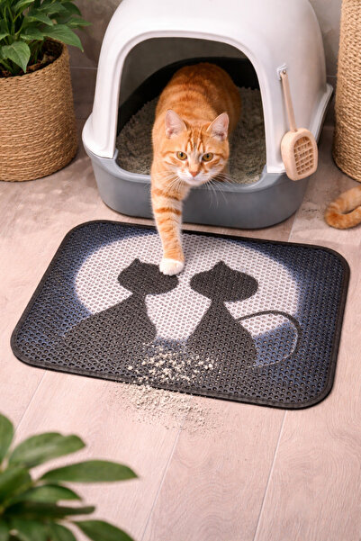 kedi kumu paspası