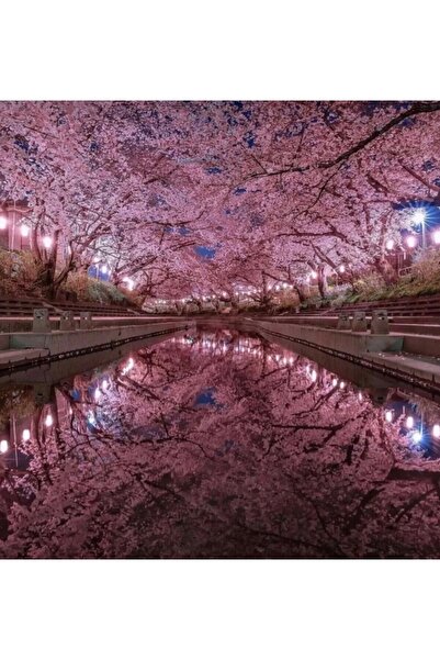 atlas hobi Hi Stone 5d Elmas Boncuk Taş Işleme Mozaik Goblen Kit 50x40cm GC89261