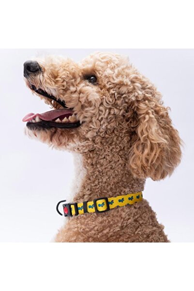 Pawstar Cactus Kaktüs Desenli Köpek Boyun Tasması Ayarlanabilir Köpek Tasması