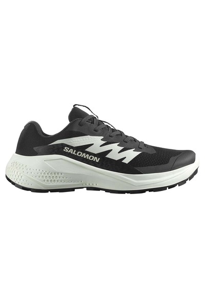 Salomon Alphaglide Kadın Siyah Outdoor Ayakkabı L47801500