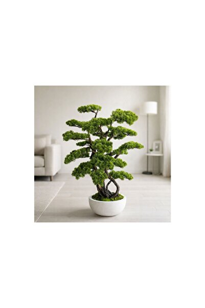 Vivense Bonsai Ağacı, 120 Cm