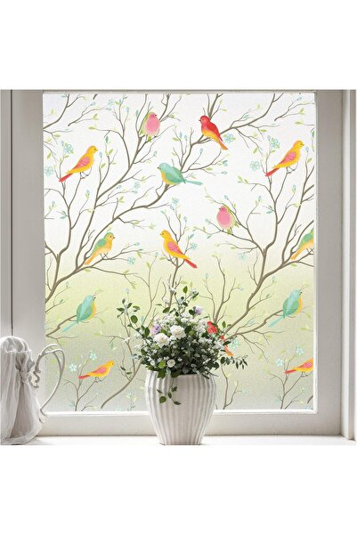 BPA ® فيلم حماية النوافذ من الطيور، فيلم خصوصية 35 × 78.7 بوصة