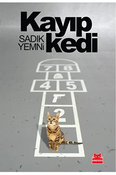 Kırmızı Kedi Yayınları Kayıp Kedi