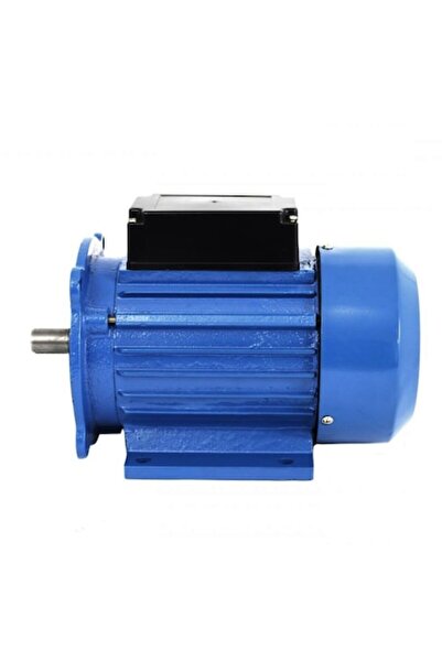 elefant Motor electric monofazat