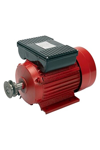 Golden Fish Motor electric monofazat 2,5 kW, 3000 Rpm