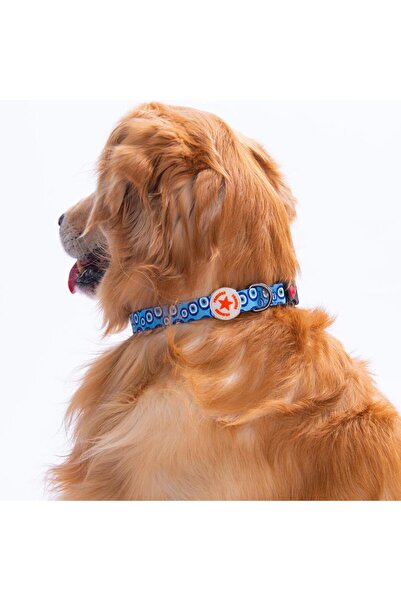Pawstar Charm Nazar Boncuğu Desenli Köpek Boyun Tasması Ayarlanabilir Köpek T...