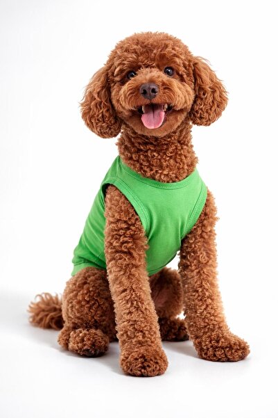 Buddy Store Kedi ve Köpek Kıyafeti Yeşil Sıfır Kol Atlet Modeli
