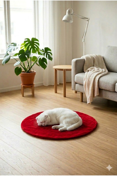 sevaradekor Kedi Halısı Köpek Halısı Evcil Hayvan Halısı Pet Halısı