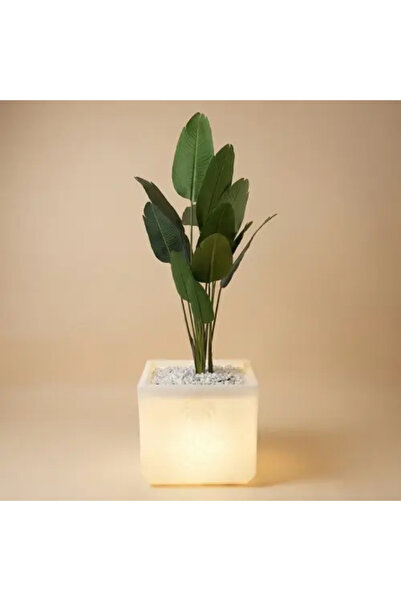 MYASEM STORE Large Square Plant Pot with LED Lighting