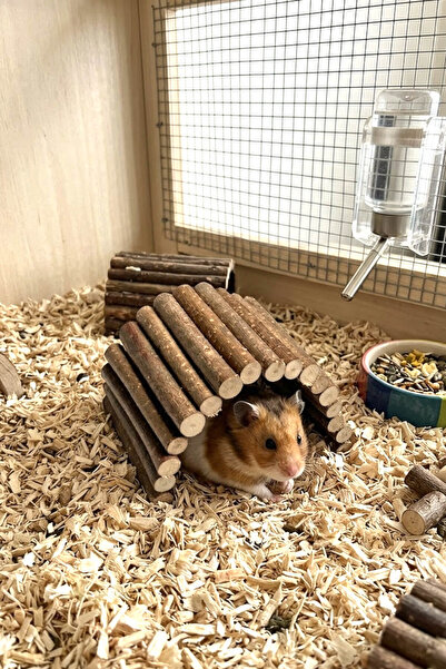 Kuzeylina Doğal Ahşap Hamster Tünel Köprü & Yuva