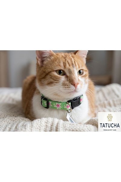 Tatucha Premium Galaxy Harmony – Cat Collar (Special Collection) Light Green