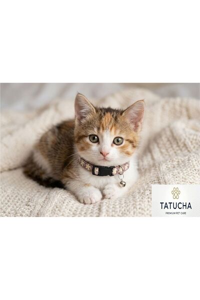 Tatucha Premium Galaxy Harmony – Cat Collar (Special Collection) Brown