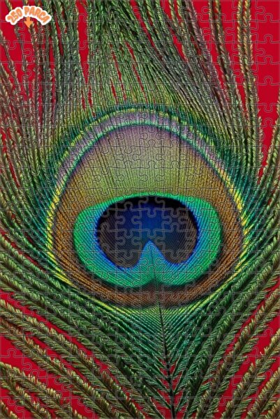 Esranın Dünyası Majestic Peacock Feather Oil Painting Lookalike Double-Layer ...