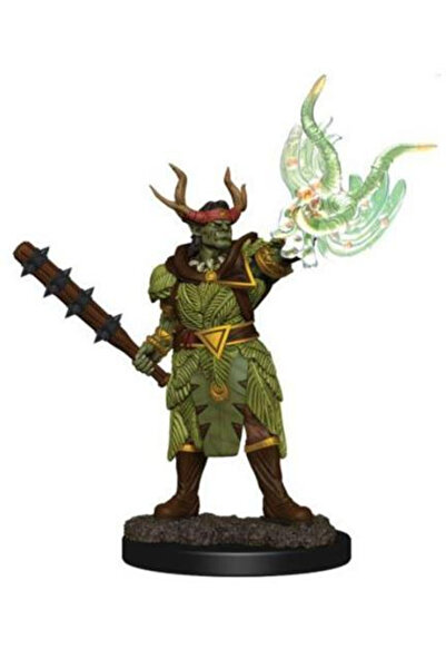 Wizkids Pathfinder Battles: Figurină pictată premium - Druild semi-ord masculin