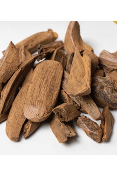 Hooraloud Marouki King Mohsen