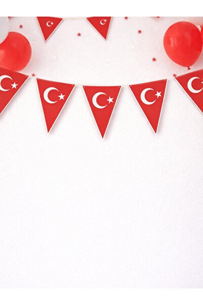 Parti Adresi Türk Bayrağı Baskılı Üçgen Flama Bayrak – Sınıf Okul Milli Bayra...