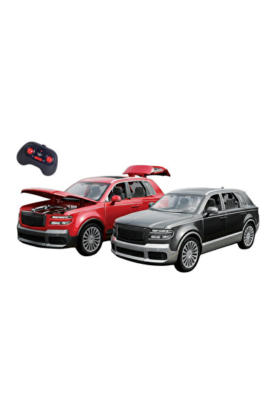 Toys Funster 1:22 Scale Rechargeable RC Diecast Car, Assorted