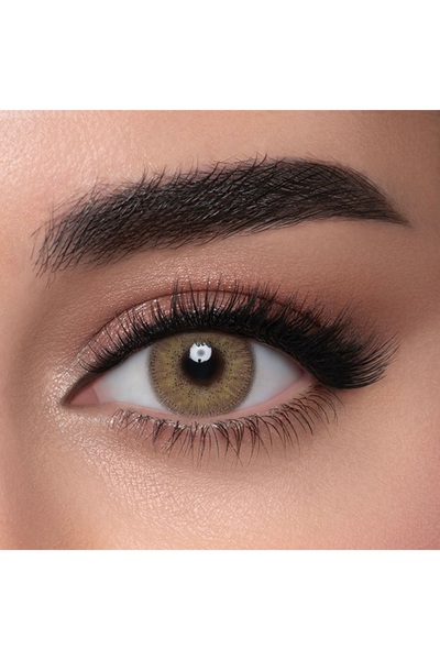 LensMe Honey 6 Months Disposable Contact Lenses, Colored Contact Lenses, Brow...