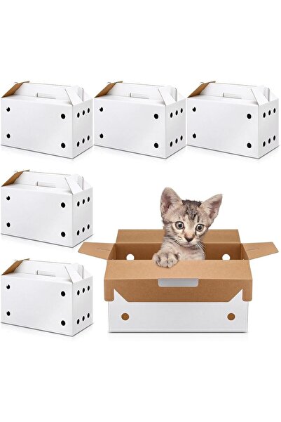 Arabest مجموعة من 6 قطع من حاملات الحيوانات الأليفة المصنوعة من الكرتون، مقاس...