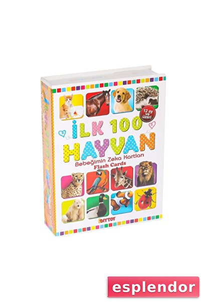 esplendor 1741 بطاقة فلاش أول 100 بطاقة تعليمية للحيوانات - Diytoy