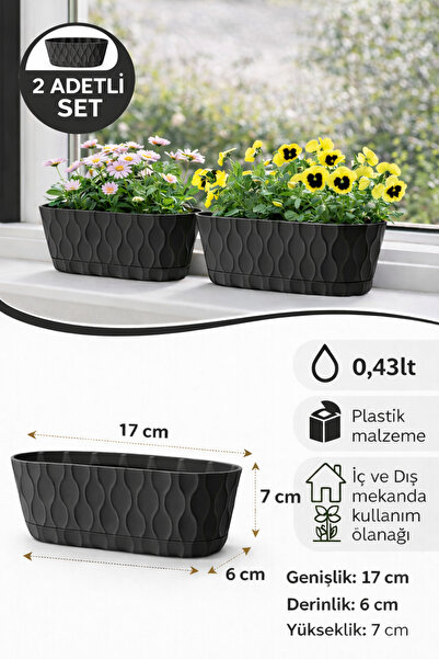 Binbirreyon Kaktüs Sukulent Aranjman Saksısı 0,43Lt 17x7x6cm AH187