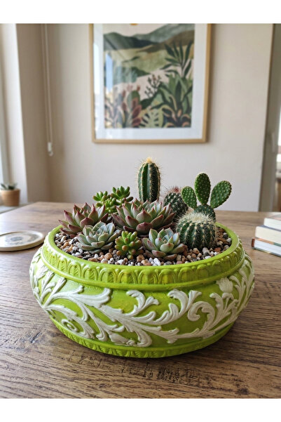 OEM Dekoratif saksı sukulent kaktüs bonzai arajman çiçek saksısı (Bitkiler Ha...