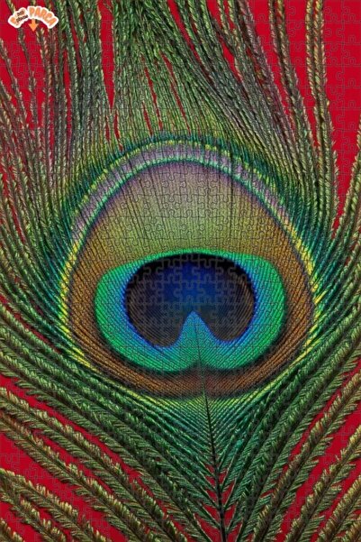 Esranın Dünyası Majestic Peacock Feather Oil Painting Lookalike Double-Layer ...