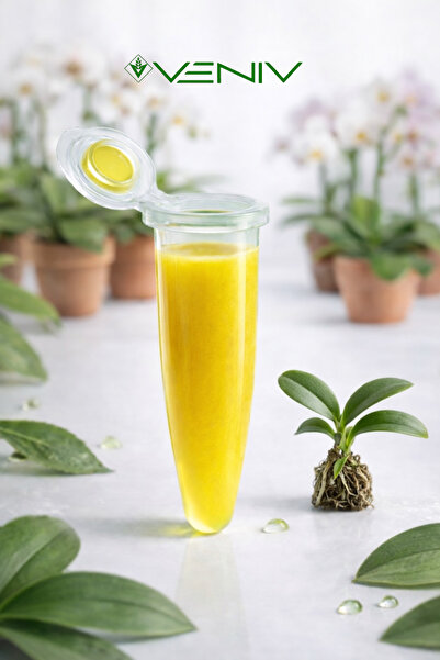 VENİV 3v Keiki Orkide Macunu- Orkide Yetiştirme Macunu 1,5 gr