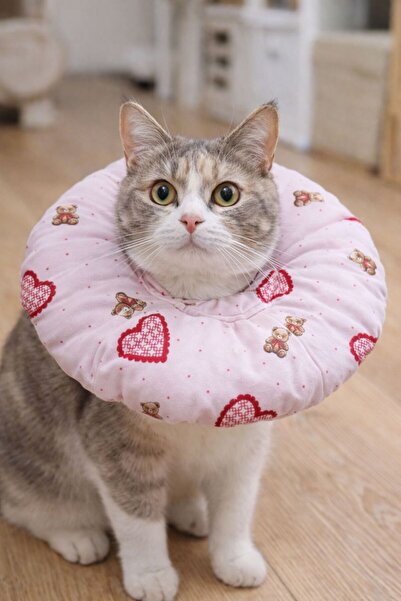 yalıpet Kedi Köpek Boyunluk - Koruyucu Elizabeth Yaka & Tırnak Kesme Yardımcı...