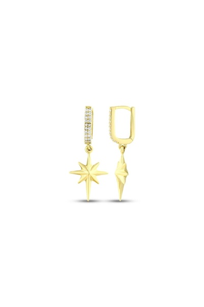 Assos Pırlanta Altın Taşlı Kutup Yıldızı Küpe - 14K