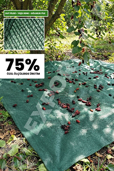 EXPORTYAPI Dut Toplama Filesi – Yüzde 75lik – Yeşil – Düz - 2 metre x 2 metre