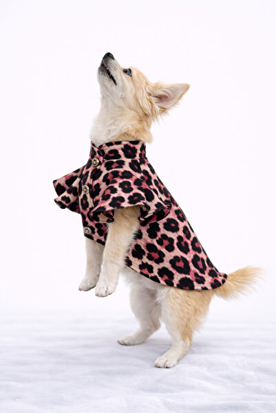 PATİLİNKA Cat - Dog Transitional Valonlu Shirt - Clothing - Dress