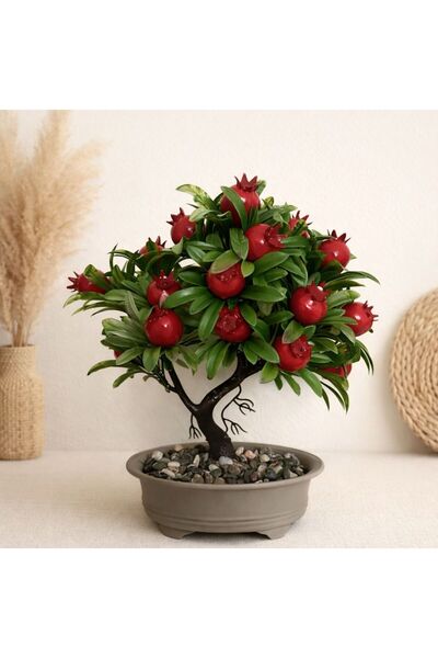 Lineva Linaline Dekoratif Yapay Nar Ağacı – Ev & Ofis Masa / Raf Dekoru – 1 Adet