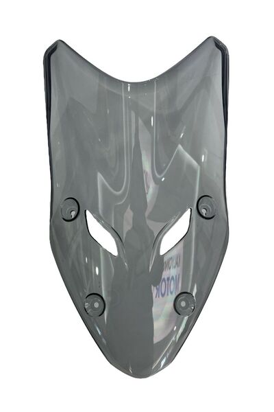 Bajaj Dominar 400 UG Siperlik Camı (Aksesuarlı Model)