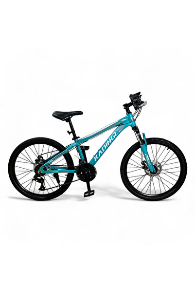 ALBADER 24 Inch Mountain Bike, Multi Speed Gear Bicycle, Disc Brake Sports Bi...